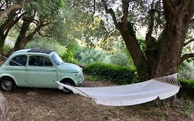 Agriturismo Don Cesarino
