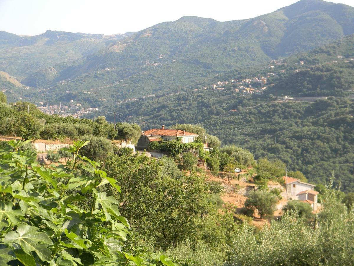 Agriturismo Don Cesarino Contura Esterno foto
